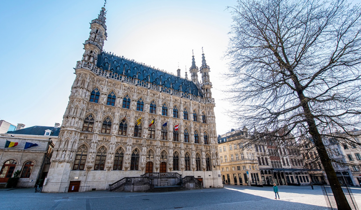 Zicht op het stadhuis op de Grote Markt