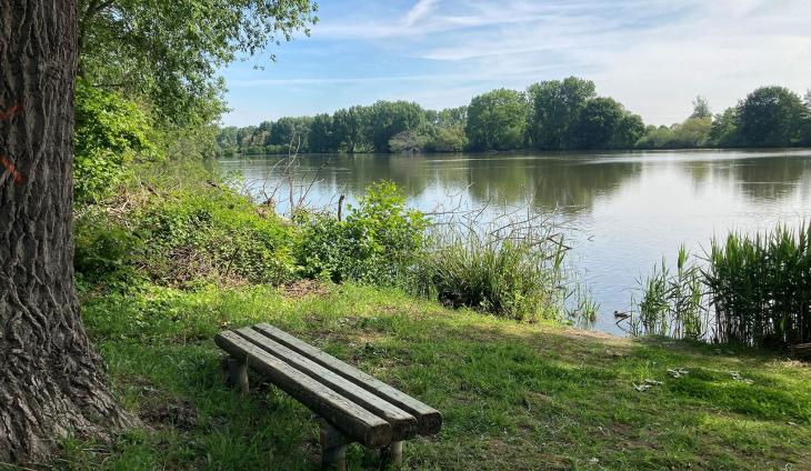 Vijvers van Bellefroid