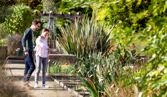 Wandelaars in de Kruidtuin
