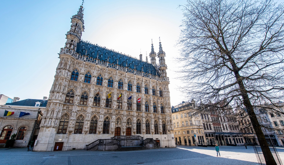 Zicht op het stadhuis op de Grote Markt