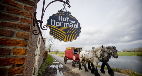 De paardenkar van Brouwerij Hof Ten Dormaal