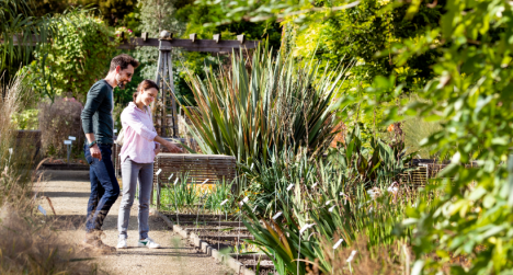 ©Karl Bruninx Wandelaars in de Kruidtuin