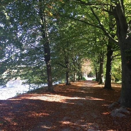 Het wandelpad aan de vijvers.