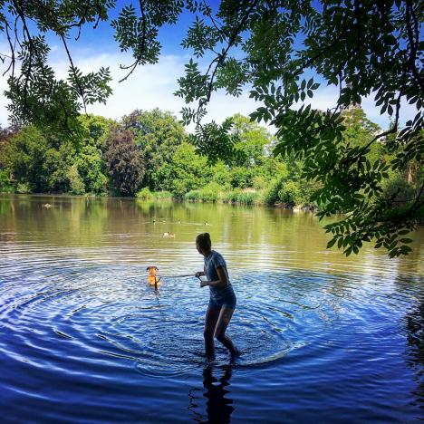 De hond van Charlotte neemt een duik in het water. Gelukkig heeft ze hem aan de leiband!