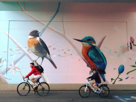 © Pieter Rombouts Fietsers passeren onder de nieuwe street art-brug door.
