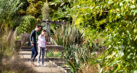 Wandelaars in de Kruidtuin