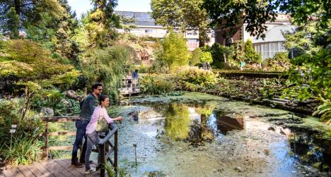 Bezoek aan de Kruidtuin