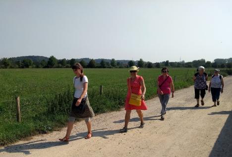 © Pieter Rombouts Het wandelgroepje dat wekelijks op stap gaat met Buurtsport.