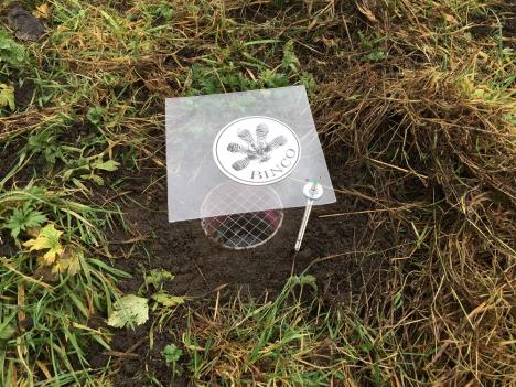 © BINCO vzw Een pitfall, een potje in de grond.