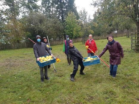 © Zeger Debyser De vrijwilligers plukten appels in de boomgaard.
