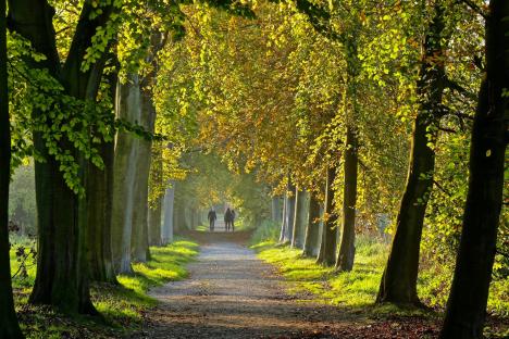 © Johan Morren Het pad langs de vijvers.